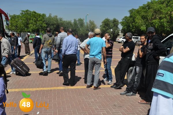 3omrashneer321 (10).JPG